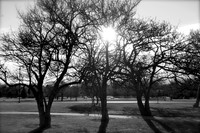 IMG_1612-2