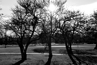 Renick B&W
