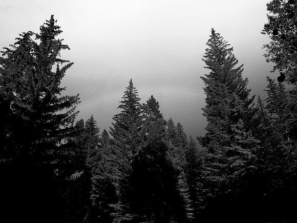 P1000077-71