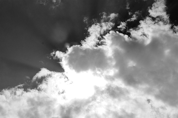 IMG_7900-14