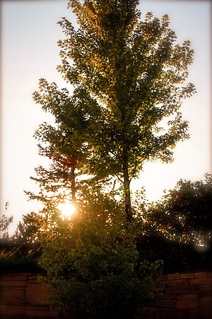 BoMonica2Color (7 of 760)