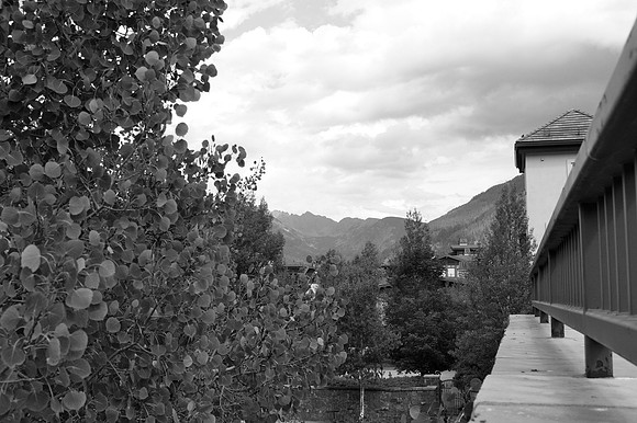 IMG_7892-7