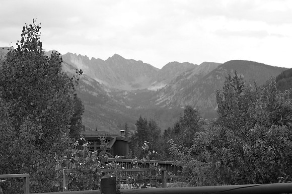 IMG_7874-25
