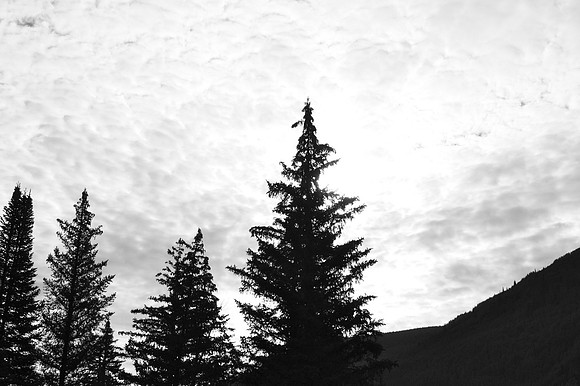 IMG_8105-89