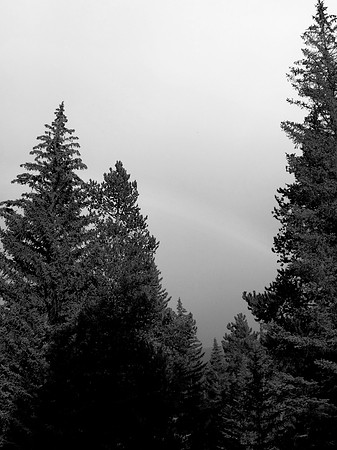 P1000080-73