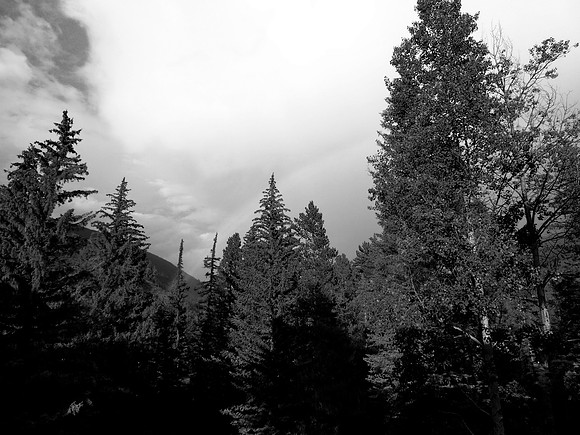 P1000086-77